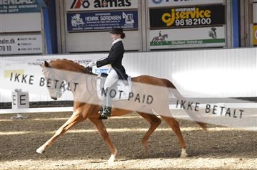 139422_bc_05__BC26304.JPG