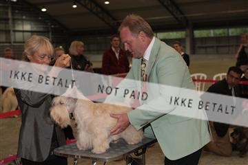 126168_se_02_IMG_0645.JPG