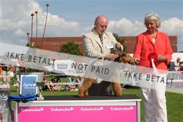 130370_se_03_IMG_7726.JPG