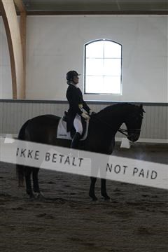 139267_kl_1_8M1Q6748.JPG