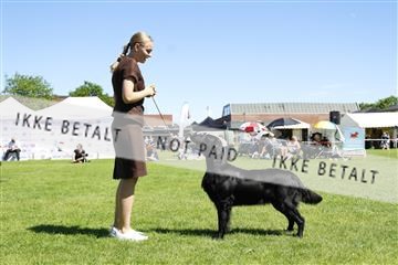 181564_kar_01__62_8444.JPG