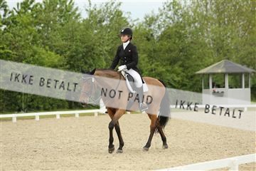 139835_sg_01_IMG_7332.JPG