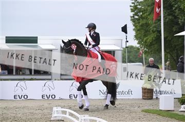 181449_kbb_04_Z094356.JPG