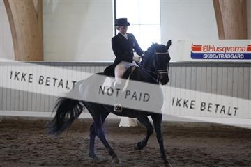 139267_kl_1_8M1Q6628.JPG