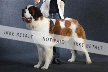 132082_le_ 01_IMG_0749.JPG