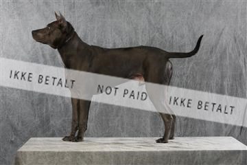 128239_le_ 06_0055.JPG