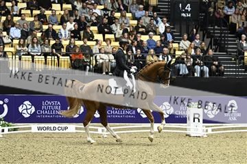 182194_kbb_03_Z092032.JPG