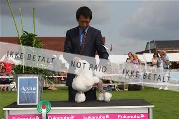 130370_le_02_IMG_8660.JPG