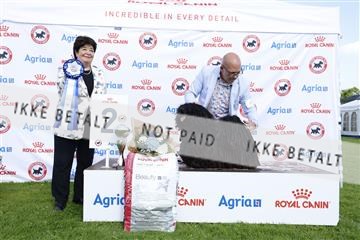 181564_kar_01__62_7431.JPG