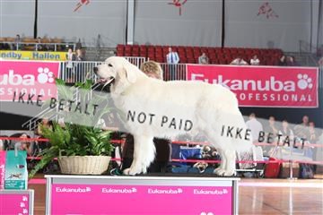 6068_ma_07_IMG_6884.JPG