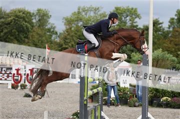 152762_nn _05_IMG_7539.JPG