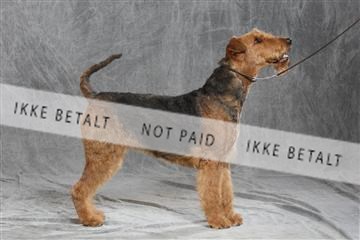 130054_le_ 03_0187.JPG