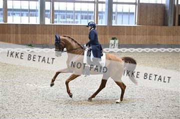 182176_kbb_01_Z093903.JPG