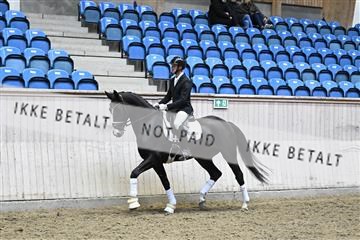 182241_kbb_01_Z093849.JPG