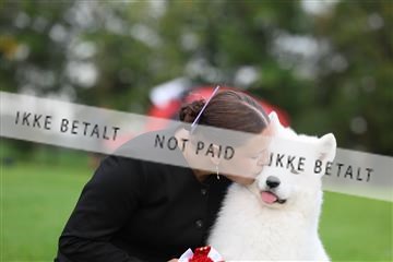 182009_rin_03_R62_4594.JPG
