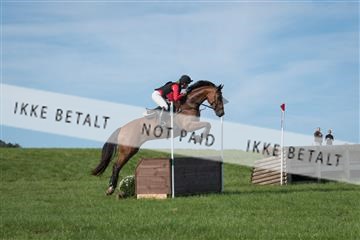 2019 Copenhagen Eventing Sofie L. Teglbjærg Gladstoon M 163761_KNF_01_KEE_010.jpg