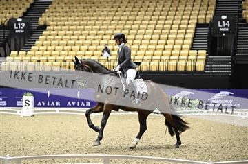 182194_kbb_02_Z098444.JPG