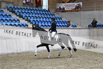 182241_kbb_01_Z094740.JPG