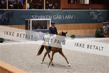 182176_mlm_01R62_9348.JPG