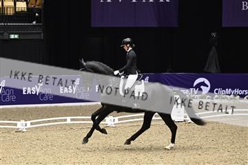 182194_kbb_03_Z091200.JPG