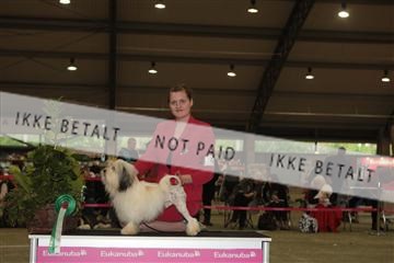 126168_se_01_IMG_0268.JPG