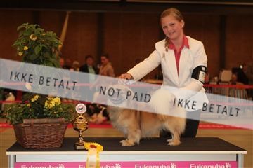 124188 _tl_02_IMG_9206.JPG