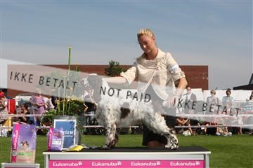 130370_se_02_IMG_6293.JPG