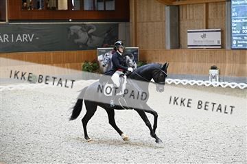 182176_kbb_01_Z094436.JPG