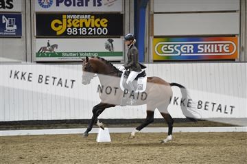 140040_abo_02__AB19421.JPG
