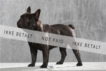 130054_le_ 01_0291.JPG