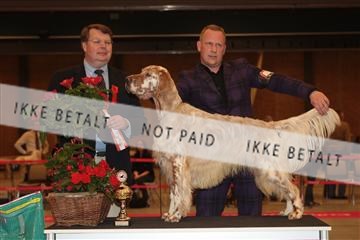 124188 _tl_02_IMG_9658.JPG