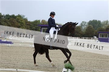 181923_mtp_04_R62_8272.JPG