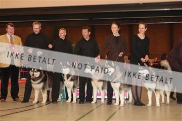 124188 _tl_02_IMG_9253.JPG