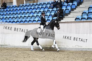 182241_kbb_01_Z094562.JPG