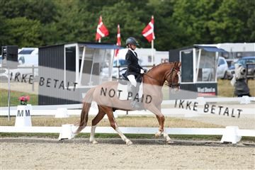 181894_mtp_05_R62_4471.JPG