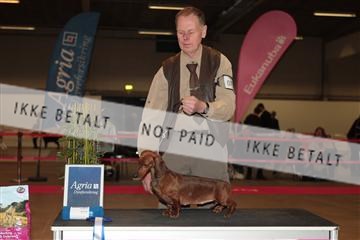 133496_tl_01_IMG_1891.JPG