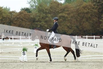 181923_mtp_03_R62_7793.JPG