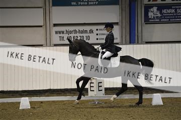 140040_abo_01__AB17770.JPG