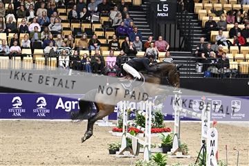 182194_kbb_02_Z099526.JPG