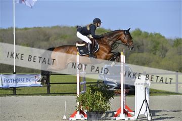 139644_abo_02__AB14724.JPG