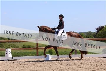 181449_bc_01R62_5590.JPG