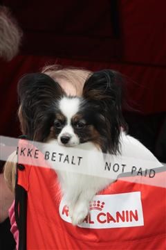 130370_tl_01_IMG_7158.JPG