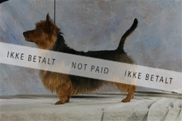 5493_sme _04__MG_9881.JPG