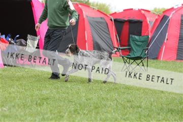 134871_ms_04_IMG_9889.JPG