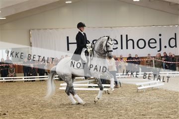 174363_kbb_01_R6II8821.JPG