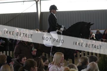 139206_kl_1_8M1Q5272.JPG