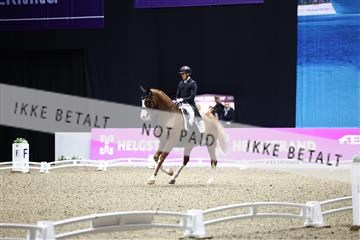 182194_avh_07_3776.JPG