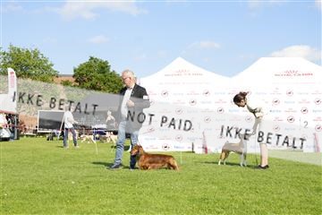 181564_kar_01__62_7314.JPG