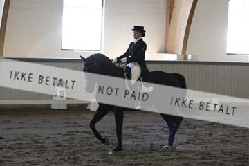 139267_kl_1_8M1Q6811.JPG