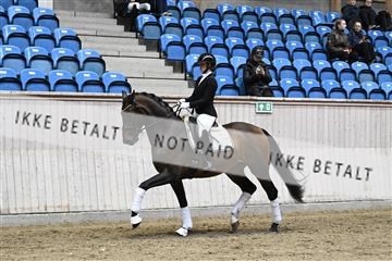 182241_kbb_01_Z094319.JPG